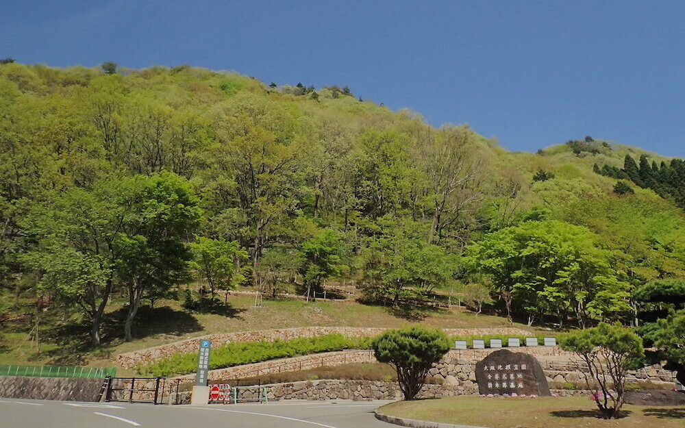 大阪府 北摂霊園「木もれびと星の里」日本初となるドイツ型樹木葬