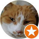 手拭い猫 手拭い猫