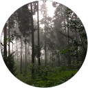 ぐりどん profile picture