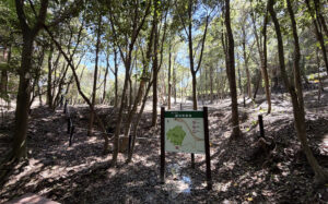 兵庫県神戸市 公営の樹木葬「樹林葬墓地」は山の中にあった